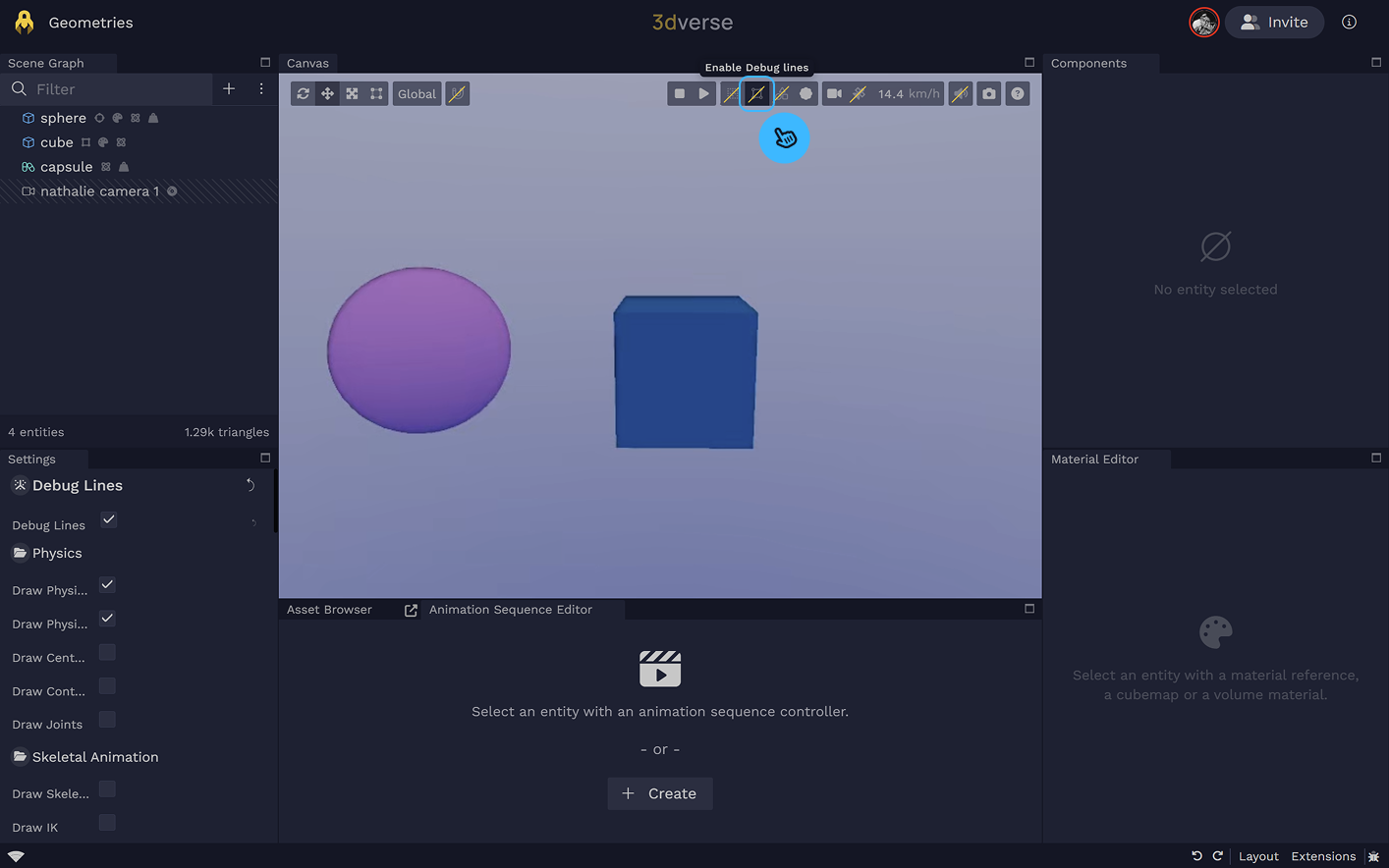 Enable debug lines