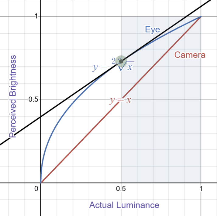 Slopes are less steep in bright tones